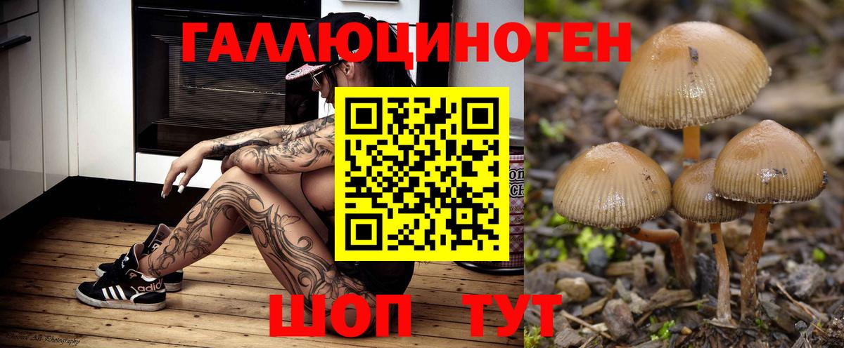 Галлюциногенные грибы Psilocybe  Вход с VPN  Дюртюли 